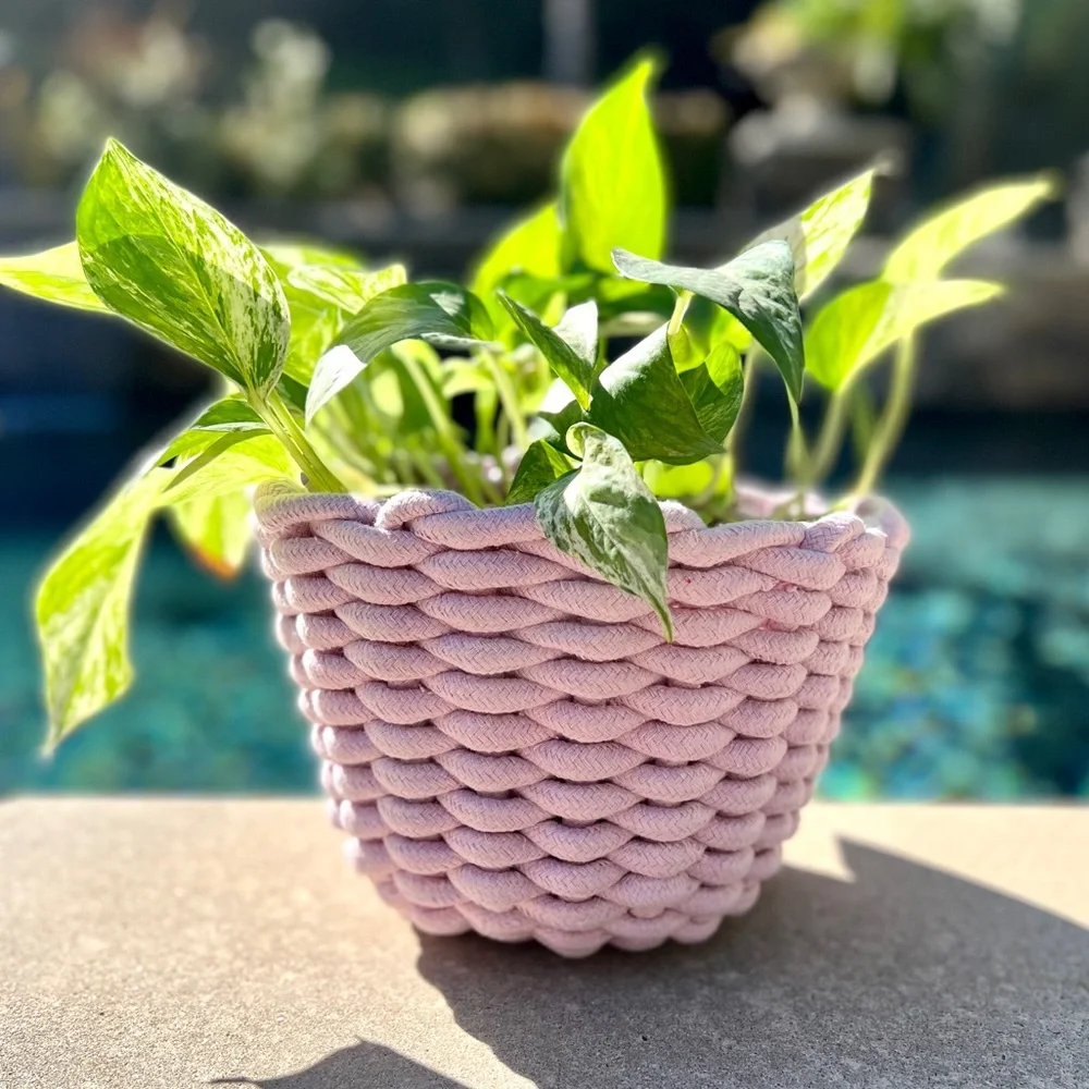 Chunky Woven Knit Basket/Pot - Picture 2 of 12